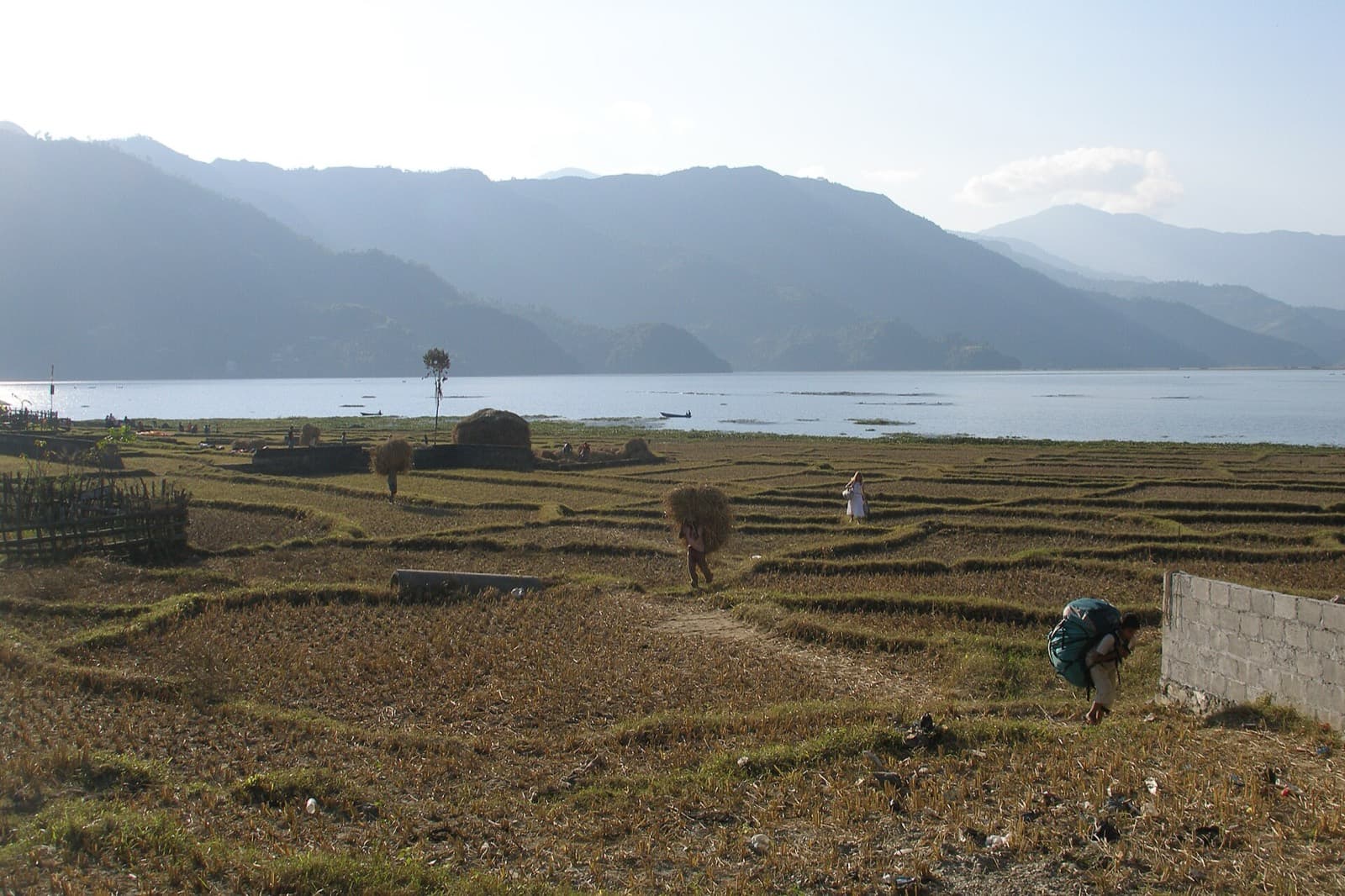 Boats on Phewa Lake, Pokhara
